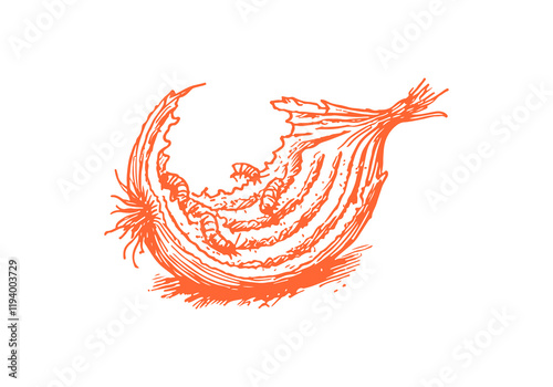 Onion Leftover Waste Hand Drawn Sketch Illustration Vector Isolated