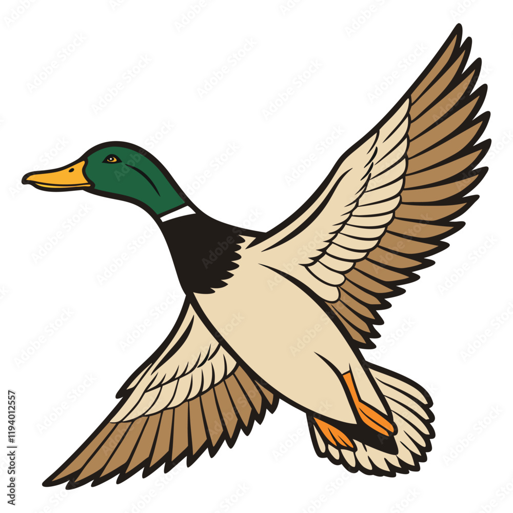 Fototapeta premium Flying mallard duck vector illustration on white background 