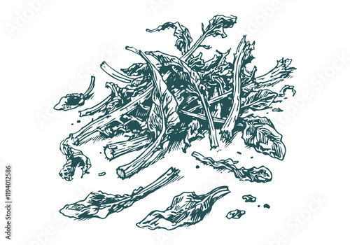 Spinach Leftover Waste Hand Drawn Sketch Illustration Vector Isolated