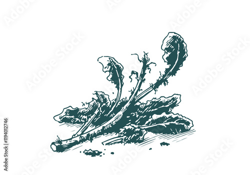 Spinach Leftover Waste Hand Drawn Sketch Illustration Vector Isolated