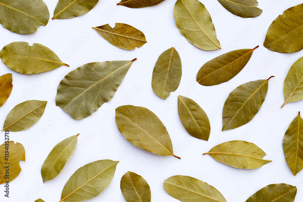 Obraz premium Dried bay leaves on white background.