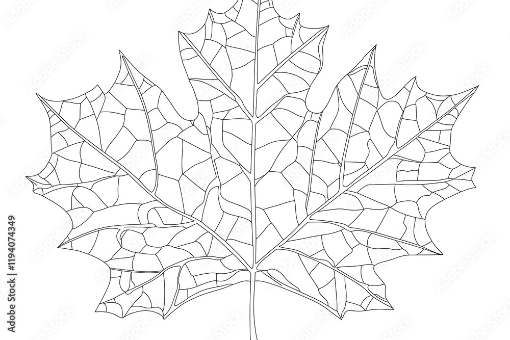 Obraz premium Intricate Leaf Design - Detailed Line Art