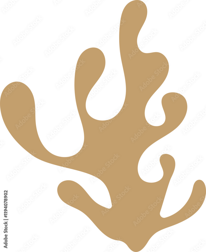 Minimalist Coral Illustration Minimalist Coral Illustration