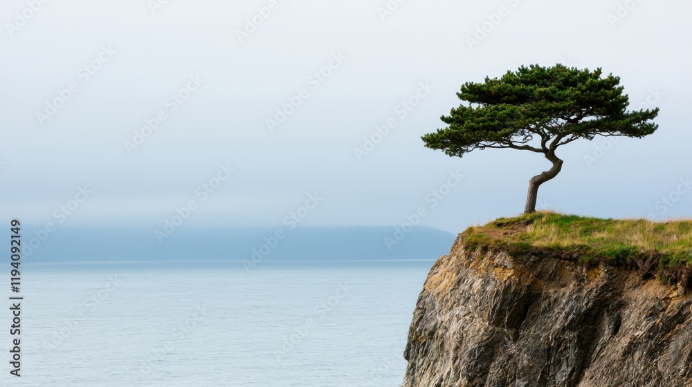 climate change global warming. Lone tree on a cliff overlooking a calm sea under a cloudy sky. climate change global warming. Lone tree on a cliff overlooking a calm sea under a cloudy sky.