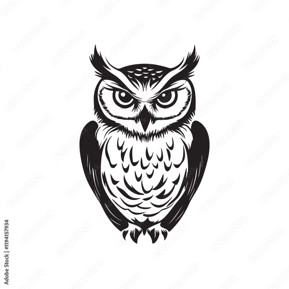 Fototapeta premium owl on a white background
