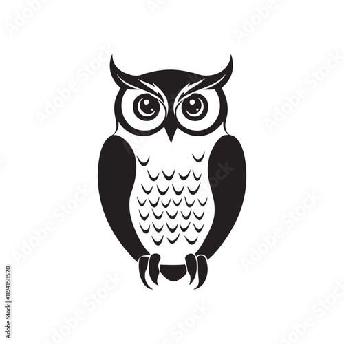 owl on white background