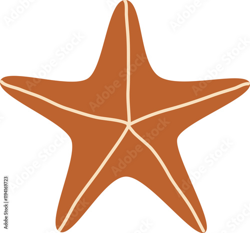  clam sea  plant sea plant starfish turban shell조개이미지 seabeach 소라 고둥 불가사리 이미지 일러스트 Vector illustration
