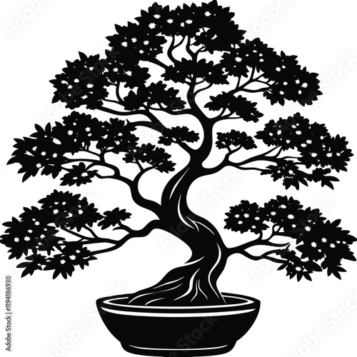 a silhouette of a bonsai tree