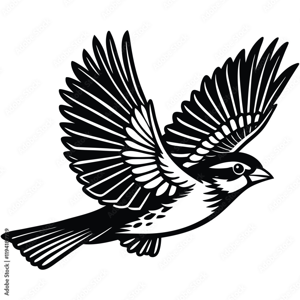Fototapeta premium sparrow in mid flight