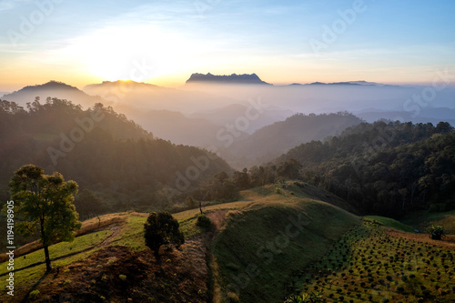 Obraz na płótnie Landscape of Morning Mist with Mountain Layer. mountain ridge and clouds in rural jungle bush forest w salonie