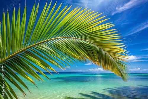 Hawaiian Palm Leaf Paradise: Ala Moana Beach, Honolulu, Oahu photo