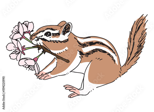 桜の花をくわえたリスの手描きイラスト
