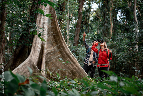 Lover hikers admiring massive tree forest stand looking up at the towering tree themes of discovery, serenity untouched wilderness guide trekking and trail exploration holiday ecotourism concept.