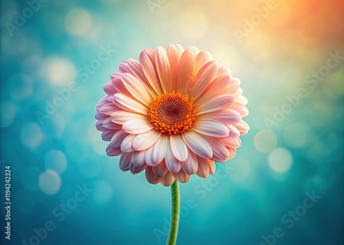 Minimalist Summer Flower Bloom:  Simple Joyful Floral Photography