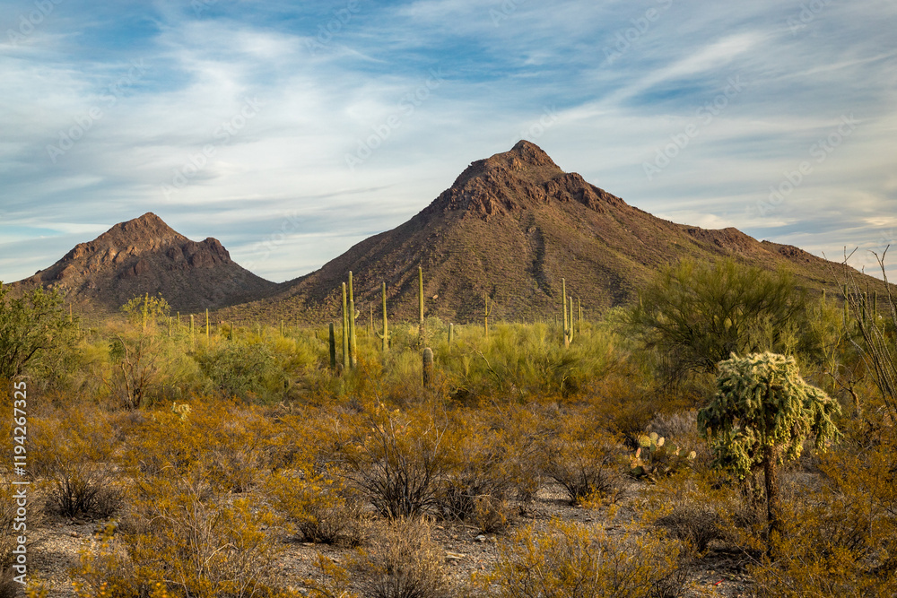 Majestic mountains in Saguaro National Park