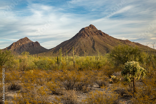 Obraz na płótnie Majestic mountains in Saguaro National Park w salonie