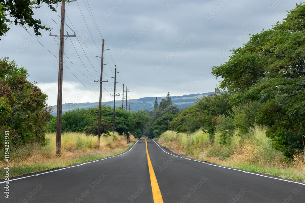 Fototapeta premium Highway with black asphalt and yellow dividing line in Hawaiian jungles, blue sky above. Highway 11, Big Island, Hawaii, the USA.