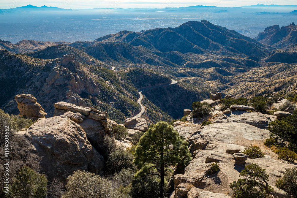 Fototapeta premium Discover Mount Lemmon rugged beauty