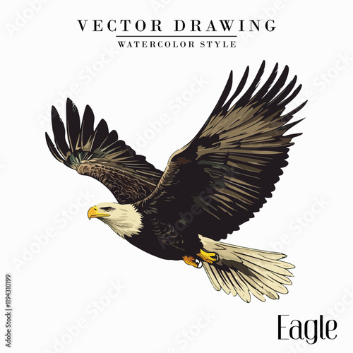 Eagle Watercolor Vector Stock Illustration