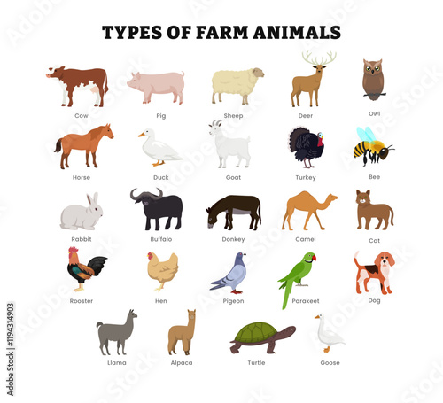 Set of different types of farm animal collection for education poster, vector illustration with cow, pig, sheep, turkey, owl, horse, duck, rabbit, pigeon, turtle, goose, rooster, alpaca, camel.