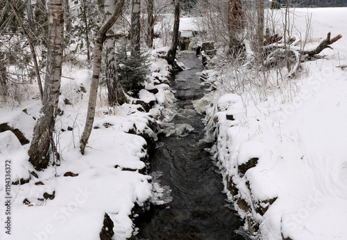 Canvas Print River