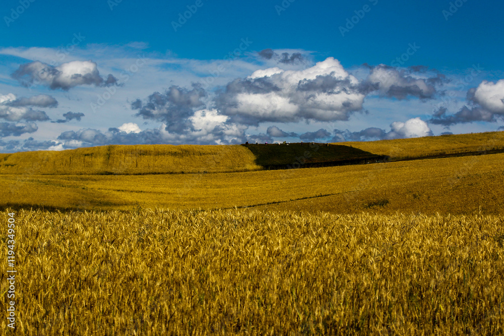 Beautiful autumn fields in Xinjiang in China. Beautiful autumn fields in Xinjiang in China.