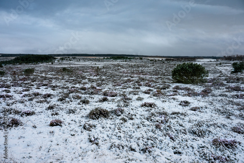 landscape heat covered with snow photo