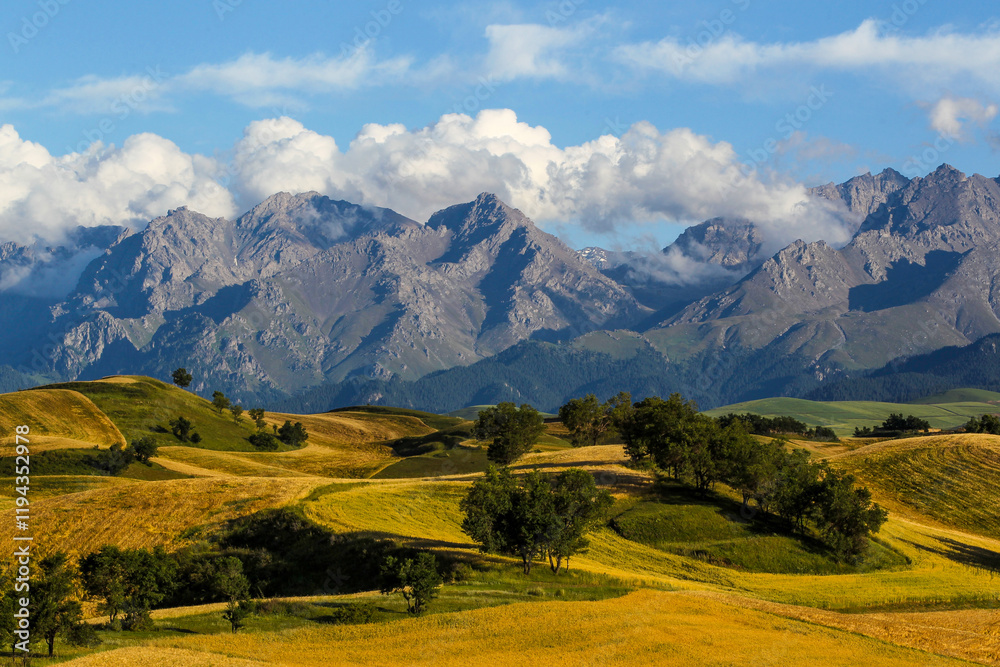 Beautiful autumn fields in Xinjiang in China. Beautiful autumn fields in Xinjiang in China.