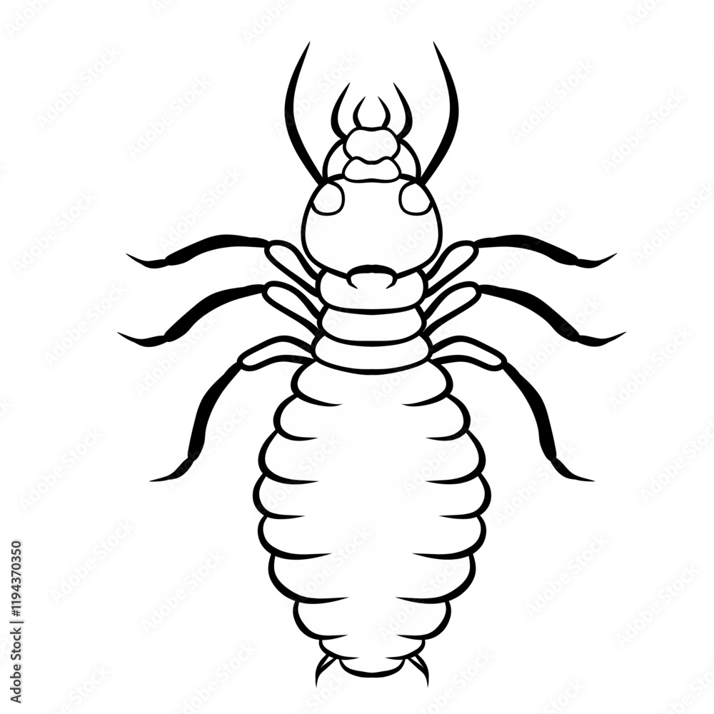 Obraz premium line art isoptera isolated