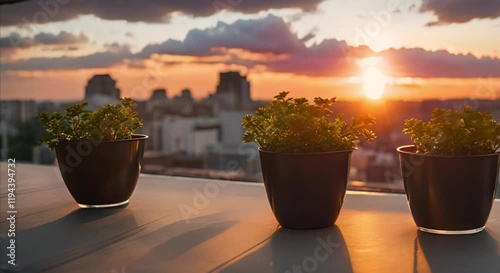 Sunset Reflection in Rooftop Glass