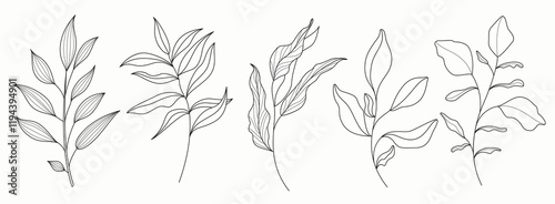 Leaf outline drawing clipart set. Leaves hand drawn flat pattern in black and white outline botanical graphic elements clip art collection. Vector illustration spring leaf drawing set. 
