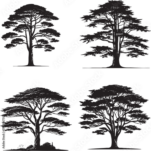 "Set of 4 Monochrome Vector Silhouettes of the Leyland Cypress Isolated on a White Background