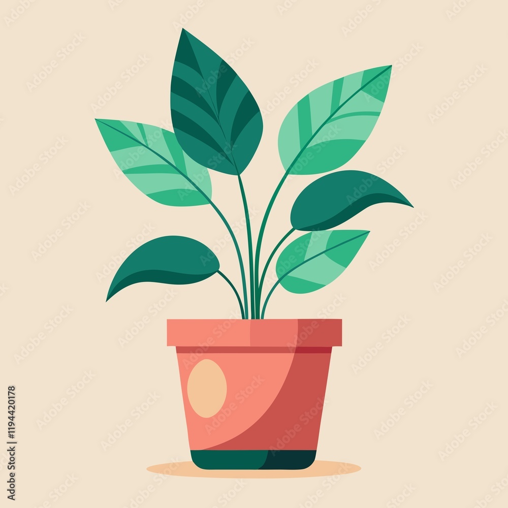 plant in a pot