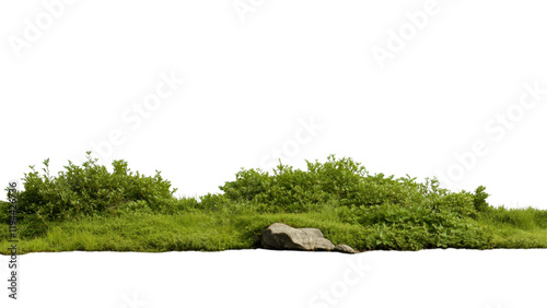 Golden Hour Sunset landscape concept. Lush green vegetation with a rock on transparent background.