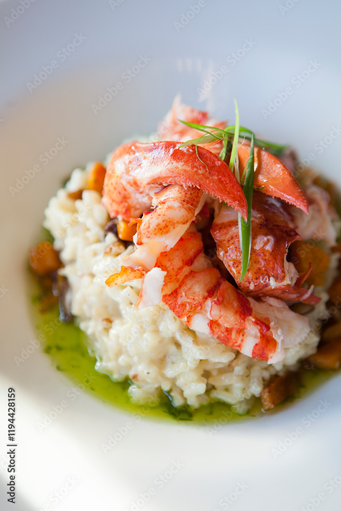 A gourmet lobster risotto sits in elegant white dish. A gourmet lobster risotto sits in elegant white dish.