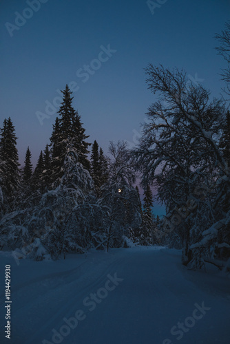 Moonlit snowy forest trail at twilight in Trillevallen, Åre. photo