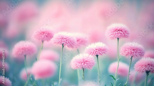 Delicate Pink Flowers in a Dreamy Soft Field