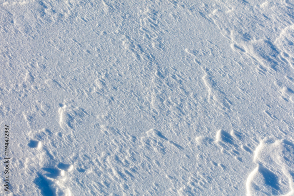 The snow is white and the ground is covered in it The snow is white and the ground is covered in it