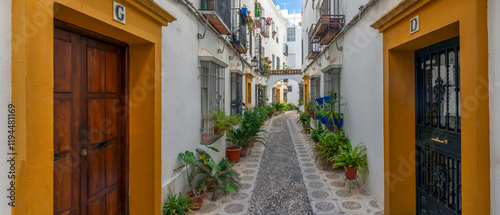 Fototapeta Naklejka Na Ścianę i Meble -  little street in Cordoba,