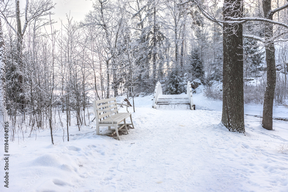 Naklejka premium A forest covered with snow, winter landscape in the forest, snow-covered frozen trees, Russian winter, sunny winter day in the countryside