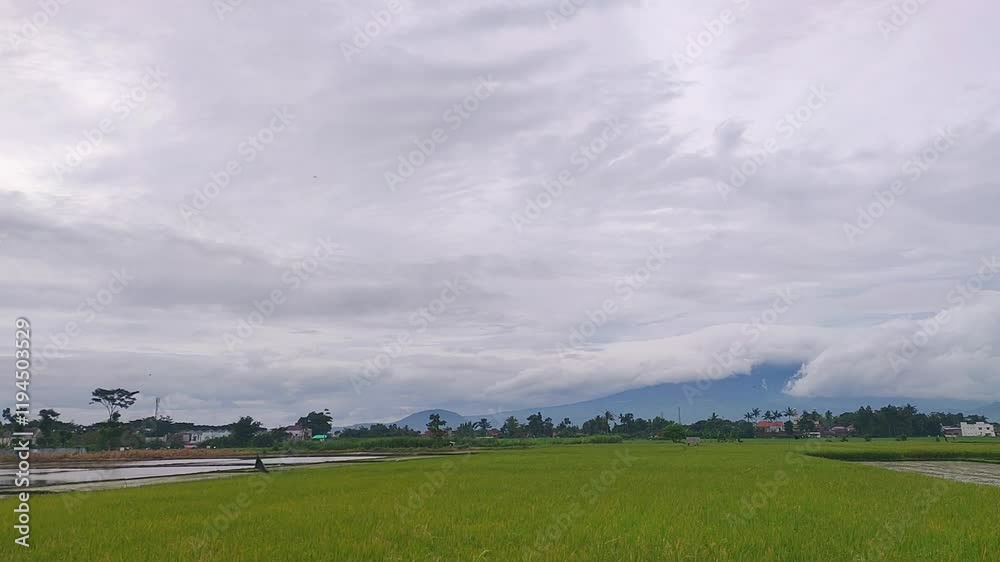 Dramatic panorama with beautiful Sunset with rice paddy and mountain timelapse Dramatic panorama with beautiful Sunset with rice paddy and mountain timelapse