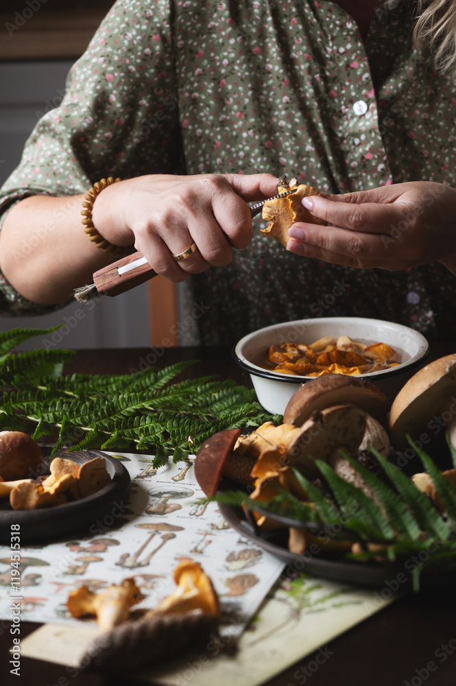 woman preparing wild edible forest mushrooms (chanterelles) in rustic cottage kichen woman preparing wild edible forest mushrooms (chanterelles) in rustic cottage kichen