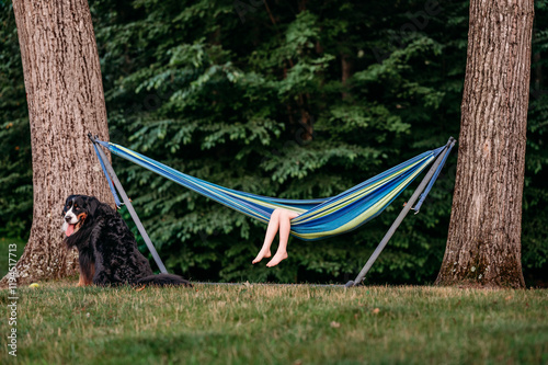 Bare feet of a child in a hammock next to a Bernese dog in the woods.