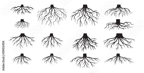 Various realistic tree roots, shrub roots. Parts of plant, root system tree stump. Dendrology, woody plants. Sketch doodle drawing.