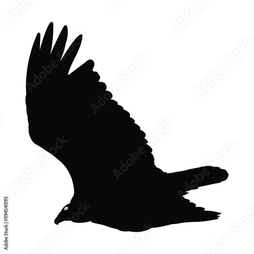 Silhouette of a soaring bird of prey. Symbol of Eagle vector, Eagle Icon, Eagle Logo, Eagle Drawing.
