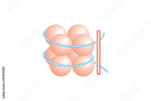 Histone Molecule Structure Science Design. Vector Illustration.