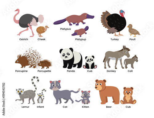 Set of Cute animals mom and baby cartoon set collection poster education, parent and baby animal couples set with ostrich, cheek, turkey, poult, cat, kitten, bear, cub, lemur, infant.