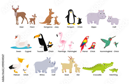 Set of Cute animals mom and baby cartoon set collection, poster education, parent and baby animal couples set with deer, fawn, kangaroo, joey, penguin, chick,hippo, calf, swan, cygnet, goat, kid.