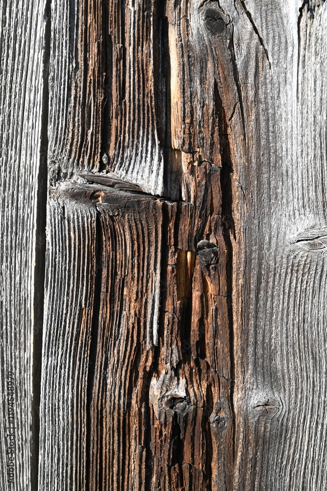 Weathered Wood Texture