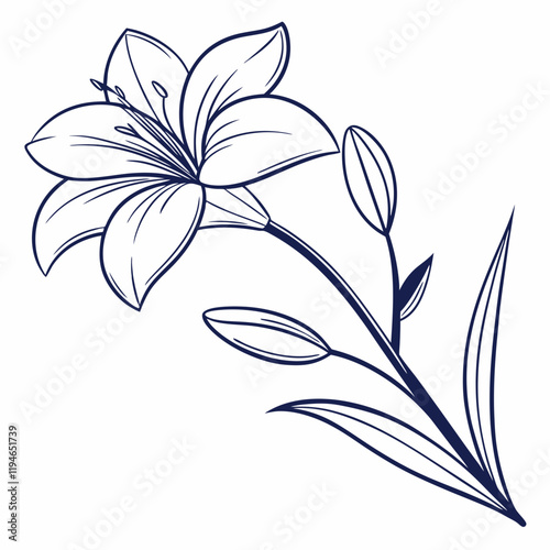 minimal botanical graphic sketch drawing, trendy tiny tattoo design, floral elements vector illustration